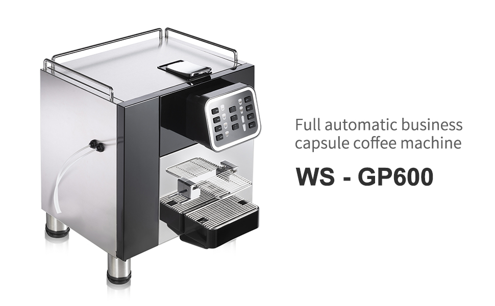 WS-GP600